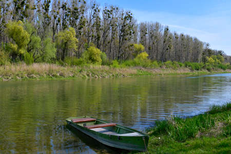 Austria, landscape with oxbow lake and trees infested with mistletoe in the Donau-Auen National Park...