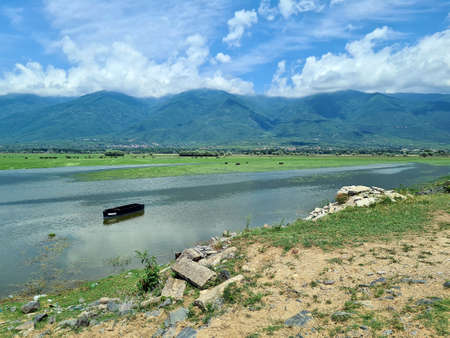 Greece, Landscape with wild and free living water buffalos on Lake Kerkini in Central Macedoniaの写真素材