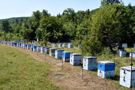 Greece, a line of colorful beehives in Zagori
