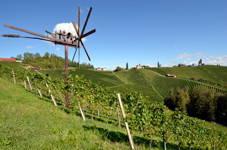 Austria, traditional Klapotez scarecrow and vineyards on the steep slopes located on the Styrian wine route, the hilly landscape is also known as the Tuscany of Austria, Klapotetz are used in south-eastern Austria by their clatter they drive the birds from the vinesの写真素材