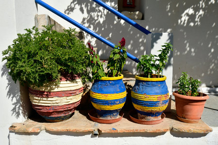 Greece - Colorful flower pots in Lagkada on Amorgos island a wonderful Cycladic island in the Aegean Seaの写真素材