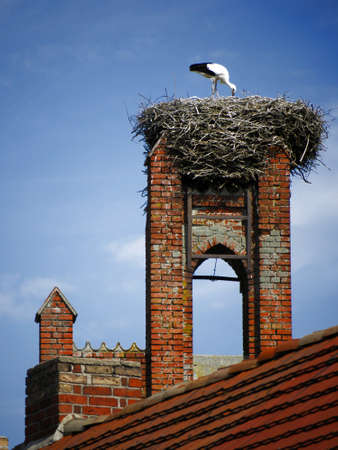Stork in its nest on a towerの写真素材