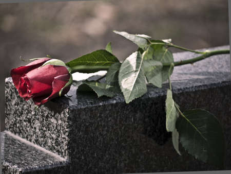 wilted roses on a grave stoneの写真素材
