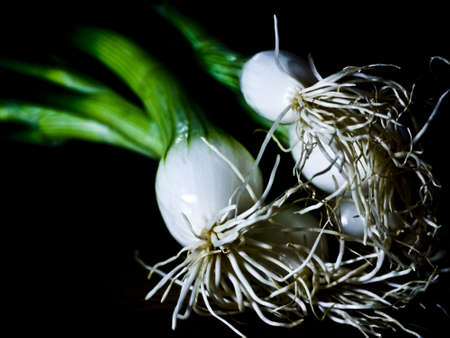 Spring onions against a black backgroundの写真素材