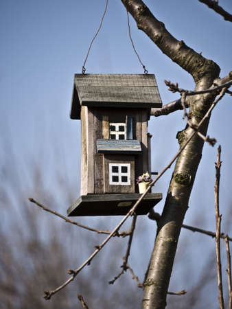 Bird house with two windows in the gardenの写真素材