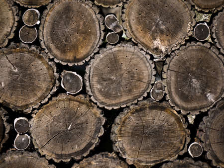 stack of different woodpilesの写真素材