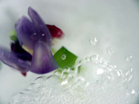 tulips in water with bubbles