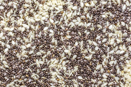 Chia and sesame seeds - Chia is originally from Mexico and is considered very healthy. The seeds contain a high percentage of omega-3 fatty acids, vitamins, antioxidants, proteins and minerals. Chia seeds swell considerably on in a liquid and are suitableの写真素材