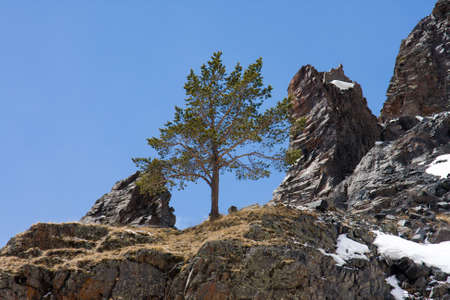 Rock in the Caucasus. Gorge Terskol spring.の写真素材