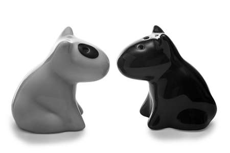 White and black, salt and pepper shaker on a white backgroundの写真素材