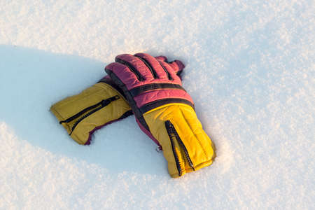 Multicolored leather ski gloves on white snowの写真素材