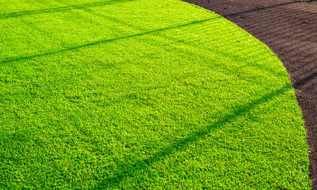 Artificial grass playground and a red running track of Rubber crumb
