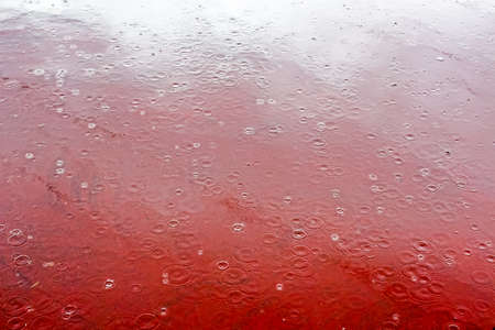 Close-up image of raindrops and rippled water during heavy rainfall on the red carpet and clouds reflected in a pool of lightの写真素材