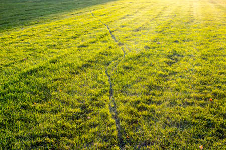 Grassy lawn and the bicycle trail illuminated by the bright sun at sunsetの写真素材