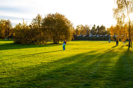 Lawn in the park is illuminated by a bright setting sun with walking people  In the background of the road with carsの写真素材
