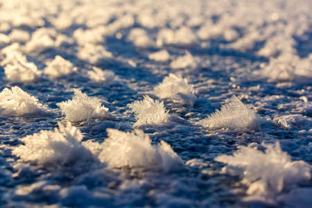 Large crystals of snow on the ice background