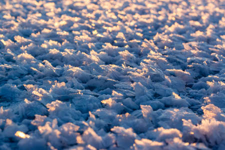 Large crystals of snow at sunset on the ice surface