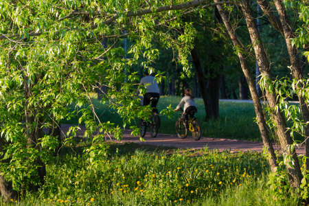 Bike patch with two cyclists in deep shade in green park on a sunny day  Shallow depth of fieldの写真素材