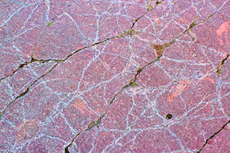 Abstract white pattern on the old stone. Texture of pink old stone in the cracks filled with soil and mosの写真素材