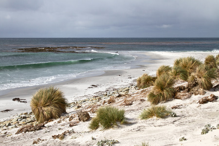 Storm on Falkland Islandsの写真素材
