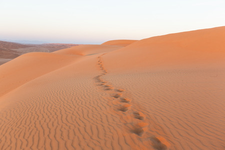 Sand Dunes in Omanの写真素材