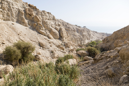 Wadi Arugot River, ein Gedi nature reserve, dead sea, Israelの写真素材