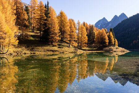 Stunning view of the Palpuogna lake near Albula pass with golden trees in autumn, Canton of Grisons, Switzerlandの写真素材