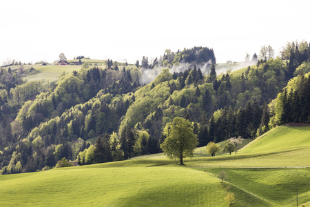 Foggy spring day in Entlebuch in the canton of Lucerne in central Switzerlandの写真素材