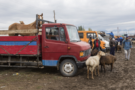Karakol, Kyrgystan, August 13 2018: Weekly Sunday animal market in Karakol city near the eastern tip of Lake Issyk-Kul in Kyrgyzstan. He is one of the largest animal markets in Central Asia.のeditorial素材