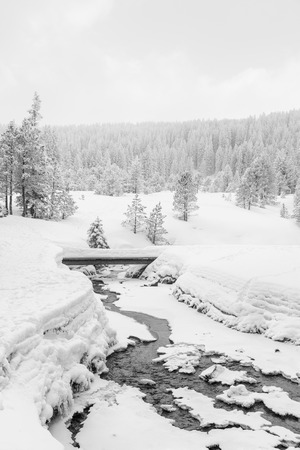 High-key winter landscape with a bridge and a stream in the foothills of Switzerlandの写真素材