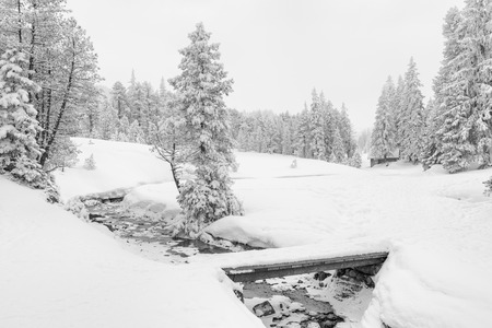 High-key winter landscape with a bridge and a stream in the foothills of Switzerlandの写真素材