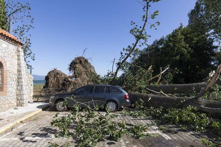 Sveti Naum, North Macedonia, July 11 2019: During a violent storm, a tree fell on a parked car on Lake Ohrid in North Macedoniaのeditorial素材
