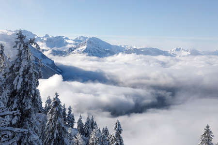Sea of fog on a winter day in the canton of Schwyz with the Alps in the background in central...