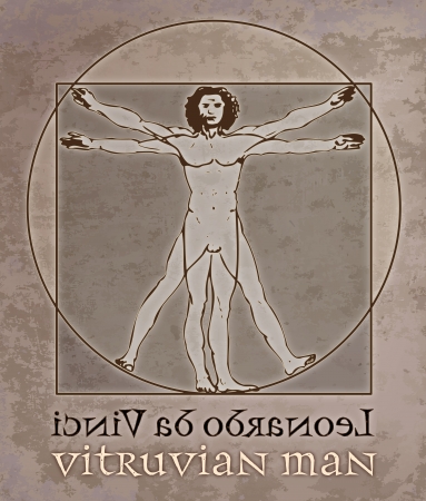 vitruvian man leonardo da vinciの写真素材