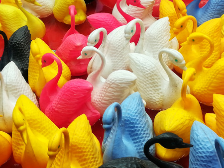 Small swans floating at the luna parkの写真素材