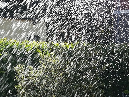 Watering the garden, Garden care and gardening