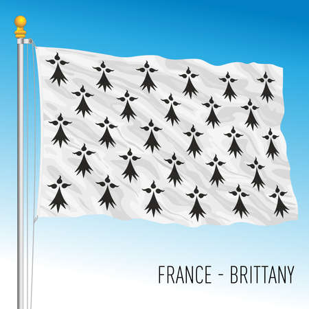 Brittany regional flag, France, European Union, vector illustrationのイラスト素材