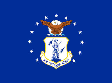 US Air National Guard flag, United States of America, vector illustrationのイラスト素材