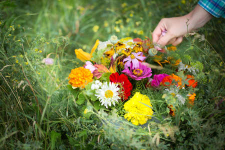 Colorful flowers for your design photo for youの写真素材