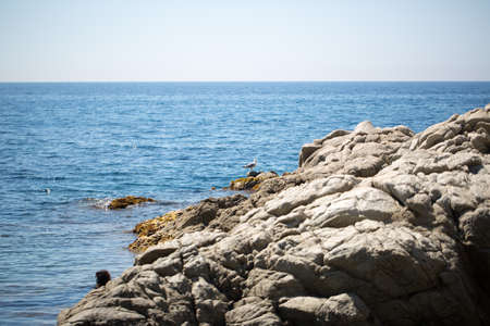 Sea, shore and stones photo for youの写真素材