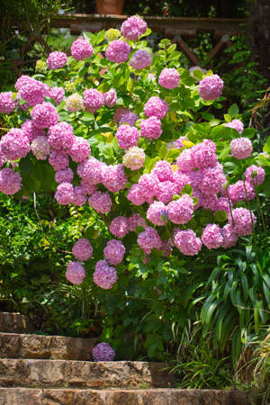 Floral postcard for your design photo for you