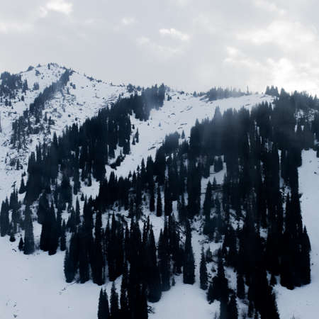 Beautiful winter landscape mountainsの写真素材