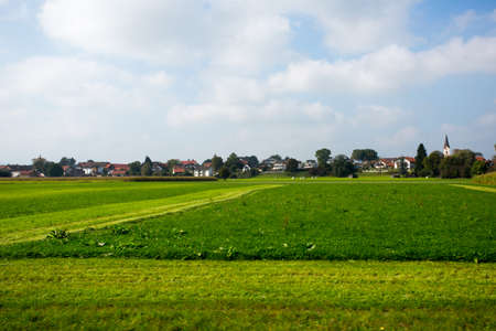 Bright green meadows and blue skyの写真素材