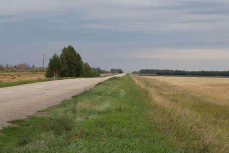 Yellow grass in the steppe and blue sky photo for youの写真素材