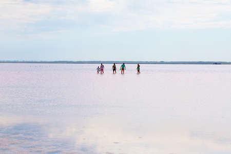 Salty pink lake photo for youの写真素材