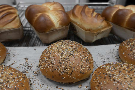 Artisan baker and pastry chef. Detail of breads dough in a bakery