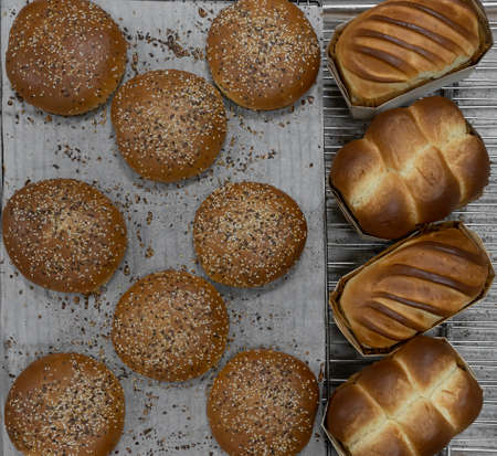 Artisan baker and pastry chef. Detail of breads dough in a bakeryの写真素材