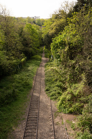 Park of the Buttes Chaumont. Close up shot of a woman sitting and doing yoga exercisesの写真素材