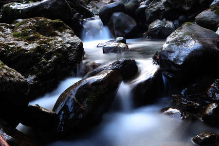 Dark Stream