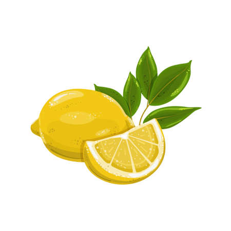 Lemon with a branch isolated on a white background. A piece of lemon illustration. Citrus fruit.のイラスト素材